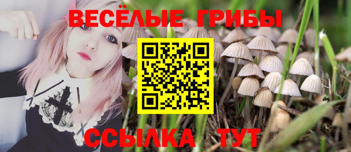 Псилоцибиновые грибы Psilocybine cubensis  даркнет сайт  Медногорск  Вход с VPN 